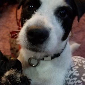 Meet your Posher, Paula